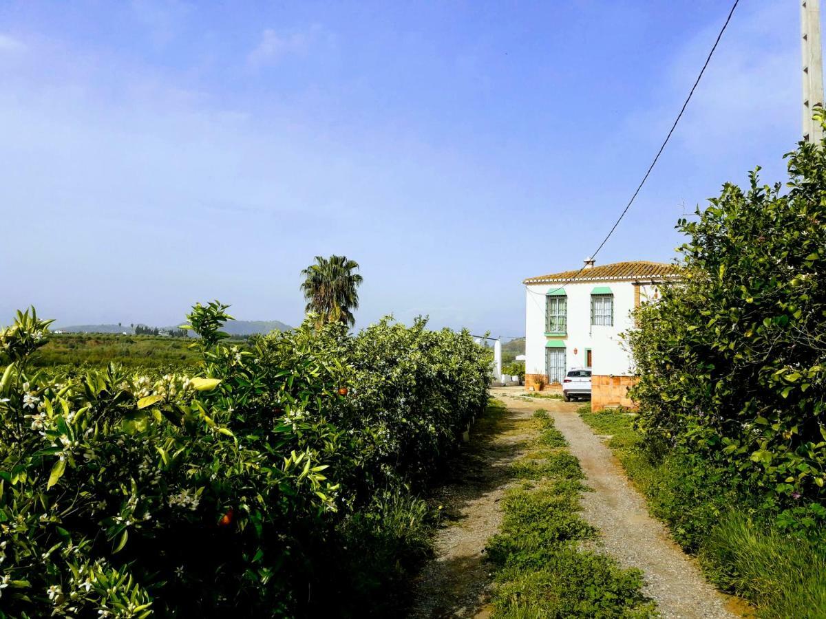 Casa Rural La Estrella Pizarra Exterior photo